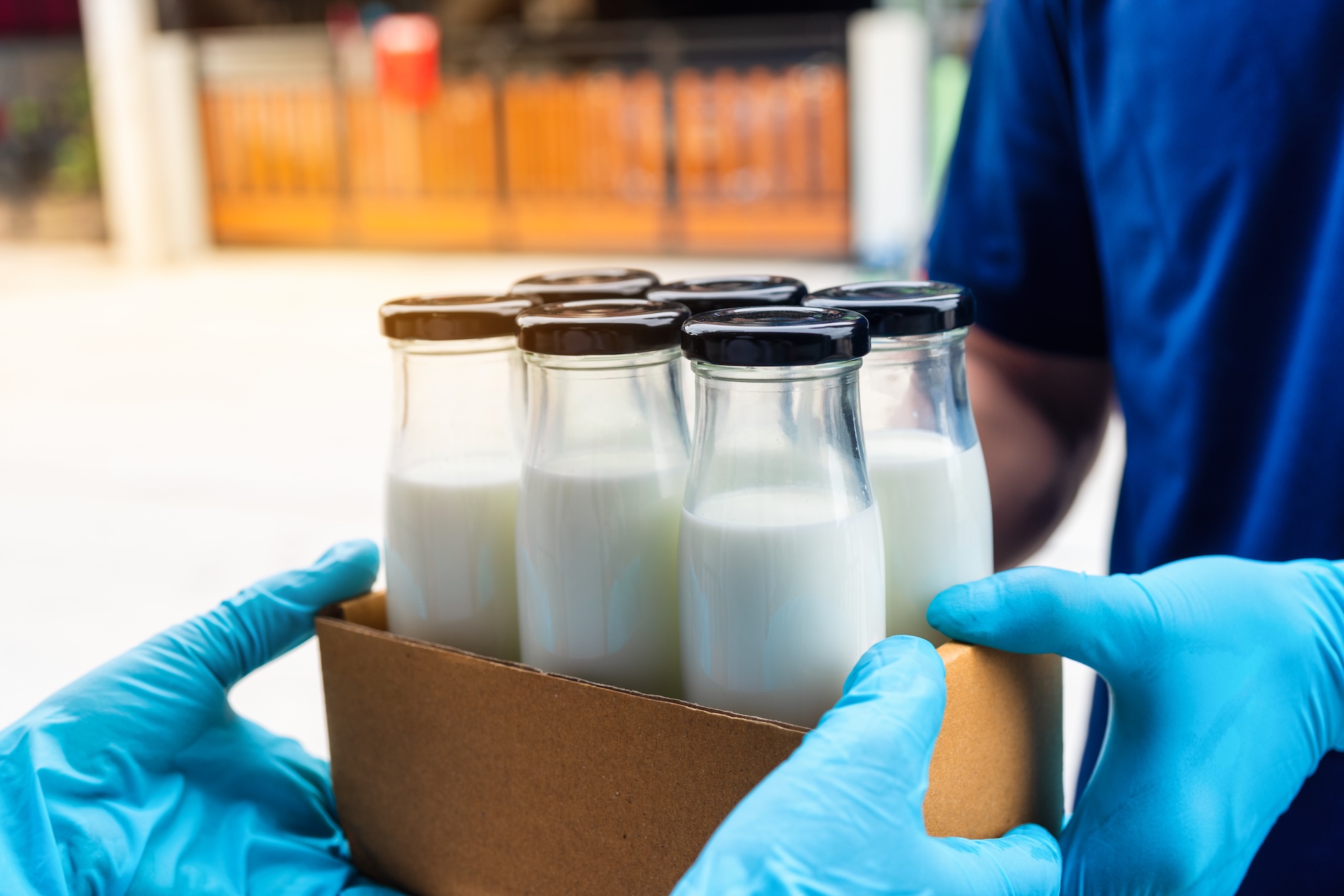 Packaged dairy products prepared for export
